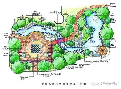 景观平面设计图植物